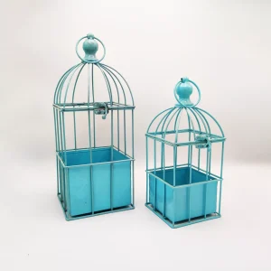 Blue Cage Set