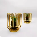 Two Golden Metal Cage With Ceramic Vase with Cactus Decoration Piece on a light background.